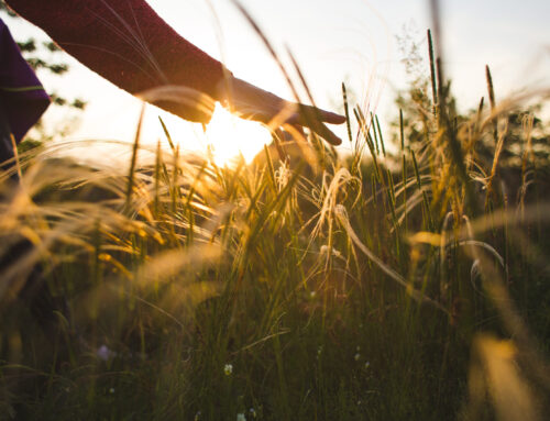 What to Expect on the Day of the Funeral
